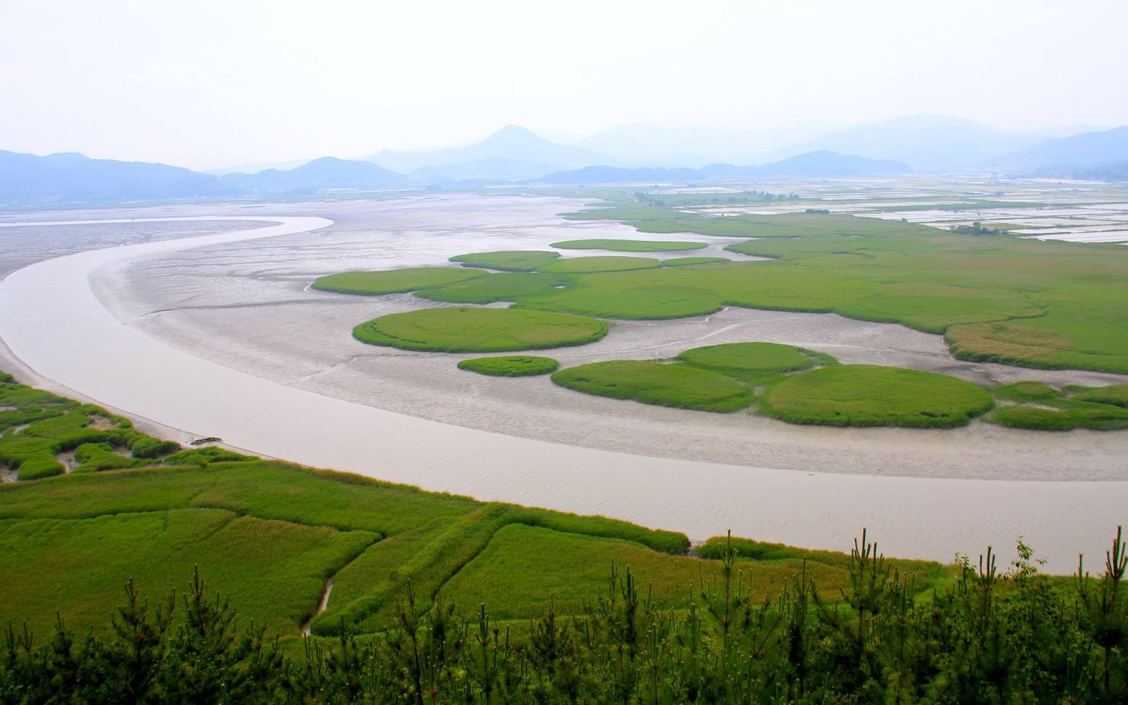 Suncheon Bay tidal flats, cover for Multispectral UAV wetland mapping